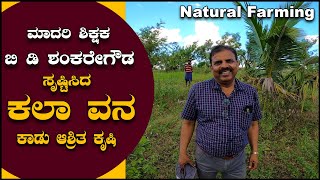 ಕಲಾ ವನ | ಕಾಡು ಆಶ್ರಿತ ಕೃಷಿ | Wild Based Farming By School Teacher B D Shankregowda | Sathish Eregowda