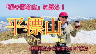 ４K 【平標山】初めての新潟の山/平標山へ〜残雪を楽しむ日帰り絶景春登山〜