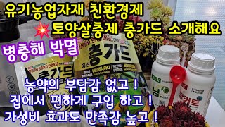 다육이 토양살충제 충가드는 유기농업자재 친환경제. 케이님 팡커트 ♻️약에대한 부담감 확 줄여 드립니다 ~흙속 알까지 박멸 병충해 걱정 없이~ 자재1번가 010-8345-6990