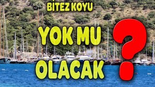 BİTEZ KOYU YOK MU OLACAK?