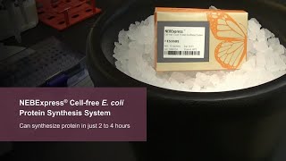 Introduction to the NEBExpress® Cell-free Protein Synthesis System