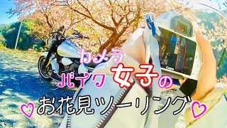 【20】カメラ女子 お花見ツーリング ここの桜はヤバかった!!【モトブログ】