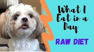 Raw Dog Food for Shih Tzu | What I Eat In a Day | Raw Diet