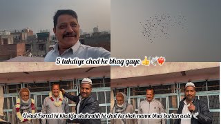 5 tukdiye chod ke bhag gaye 🕊️ ustad fareed ki khalifa shahrukh bhai ki chat ka shok #kabootar