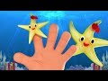 Sao Biển Gia Đình Ngón Tay | Vần Điệu Cho Trẻ Sơ Sinh | Kids Songs | Starfish Finger Family