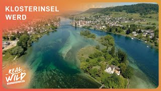 Klosterinsel Werd: Eine bezaubernde Entdeckung | Real Wild Deutschland