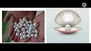 நவரத்தினம் - முத்து {○}|AMAZING FACTS | தமிழ்|NAVARATNA - PEARL|