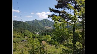 정선부동산 신월리 전망 좋은  337평 계획관리/전 건축가능한곳 매매가 3800만원 평탄작업 되어 있는 작은토지 정선읍내 10분거리 정선꽃차아저씨 033-592-1147