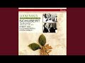 Schubert: Winterreise, D.911 - 6. Wasserflut