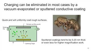 MSE585 F20 Lecture 19 Module 1 - SEM Image Artifacts