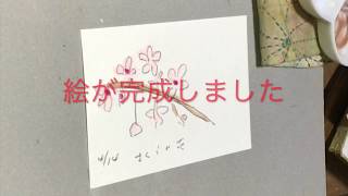 【アートセラピー】５分で描けるかんたん絵手紙（桜）