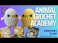 My review of the Animal Crochet Academy