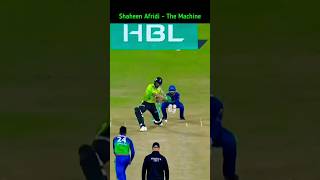Shaheen Afridi 6 6 6 6 6 vs Multan Sultan 🏏 #psl8  #cricketshorts #cricket