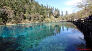 ทะเลสาบหลงที่หุบเขาจิ่วไจ้โกวในประเทศจีน (The Long Lake at Jiuzhaigou Valley in China)