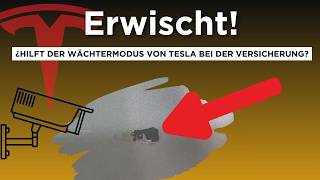 Der Wächtermodus von Tesla entlarvt einen Unverschämten.