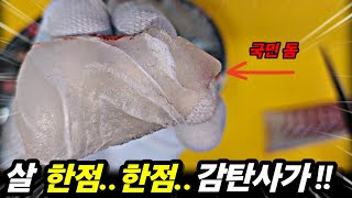 온 국민이 제일 좋아하는 어종의 횟감 입니다