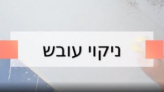 ניקוי עובש