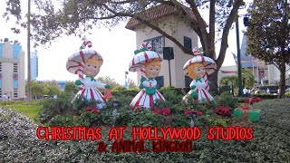 Christmas at Hollywood Studios & Animal Kingdom