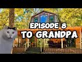 CAT MEMES: FAMILY ROADTRIP COMPILATION EP.8