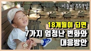 [이솔 육아 브이로그] 18개월 아기 발달에서 엄청난 변화 7가지와 부모 대응방안