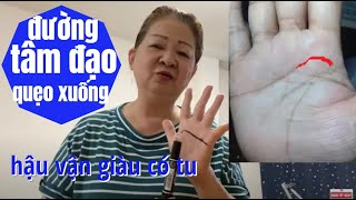 TỬ VI XEM CHỈ TAY Đường Tâm Đạo Hướng Quẹo Qua Đường Trí Đạo Hậu Vận Giàu Có Tâm Tu