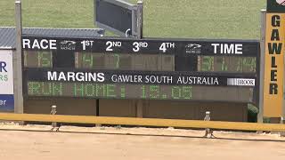 Gawler-10012025-Race-5