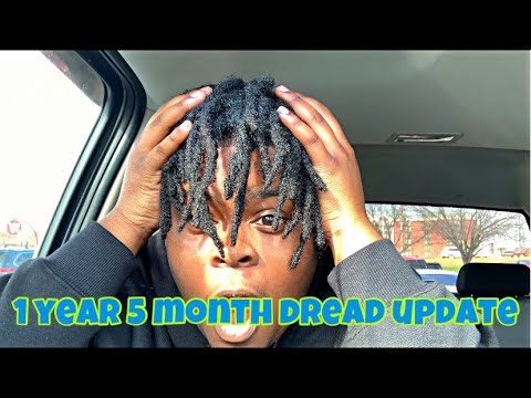 1 Year And 5 Month Dread Update Vlog Hightop Semi Freeform Dreads