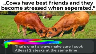 CURSED COMMENTS THAT SHOULD BE ILLEGAL 5