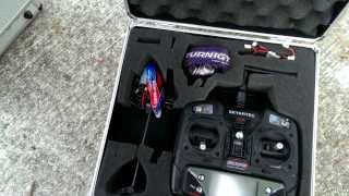 Skyartec Wasp Nano CPx Brushless RTF - First Flight