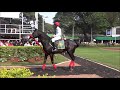 spectacular mumbai horse race 2017 at mahalaxmi race course wonderful atmosphere u0026 skyline