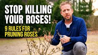 Rose Pruning Facts vs Myths