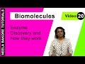 Biomolecules | NEET | Enzyme - Discovery and How They Work | Neela Bakore Tutorials