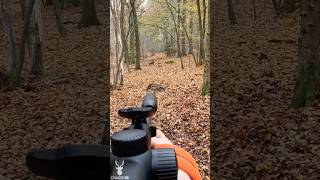 TIR D'UN SANGLIER SEUL EN BATTUE #sanglier #battue #chasse