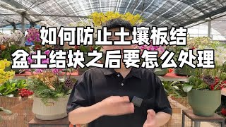 如何防止土壤板结 盆土结块之后要怎么处理