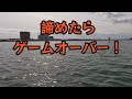 腹パンのチヌがガツン！竿がギュ～ン！渋い中やりました✌️