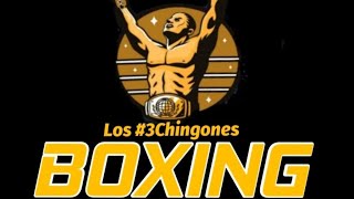 LOS#3CHINGONES BOXING