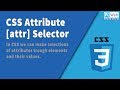 CSS Attribute [attr] Selector