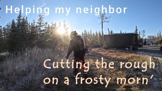 Stihl FS240 cutting heavy rough on a frosty morning