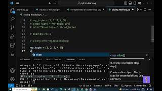 (SY) slice() tuple method in python