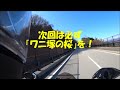 【mt 07】 無名な桜も綺麗なのだ ！そしてアレに遭遇　～春は桜を見に行くのだ　 2～【花見】