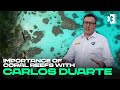 The Importance of Coral Reefs with Professor Carlos Duarte | Extreme E