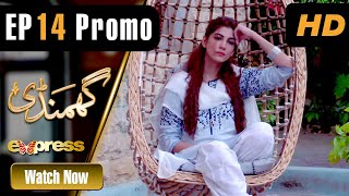 Pakistani Drama | Ghamandi - Episode 14 Promo | Mohsin Abbas Haider, Nazish Jahangir | ICA1O