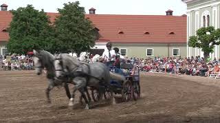 Kladruby nad Labem DKK 2019  - 11. Rychlá kola