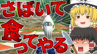 【ゆっくり実況】酔っ払いの前に現れるということは【マリオカート8DX】【Part9】