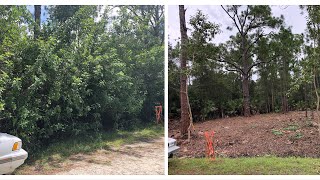 Clearing about a quarter acre of raw land with a ax and chainsaw