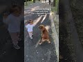 Dog and baby dance together