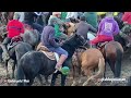 Бузкаши Роғиён.Баромади Файзали човандоз бо аспи доктор Сомон н.Ш.Шоҳин асп бо номи