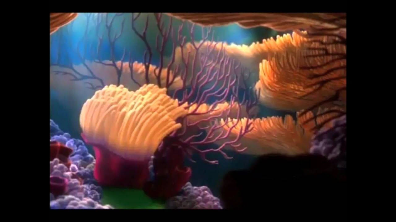 Finding Nemo Anemone Gif