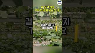 시골땅에 스미트팜 짓는데 2000만원을 요구하는 옆 땅 주인