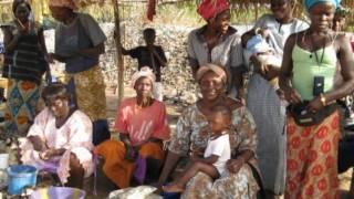 Voyage au Cap-Skirring, Casamance